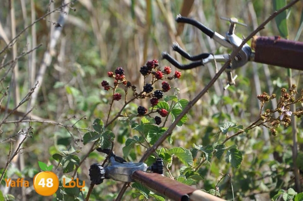 jawlat ta3limaiyas  (3).jpg